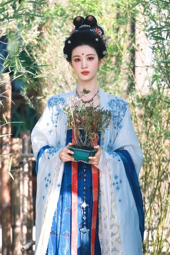 大唐 7